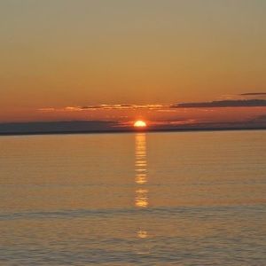 Meet your Posher, Bonnie